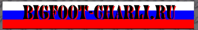 Russische Offroad-Webseite...