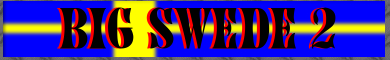 Bild vom schwedischen BIG SWEDE Monster Truck...